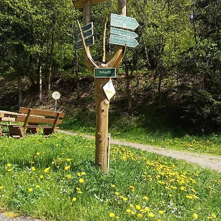 Im Alten Kino Fehrenbach