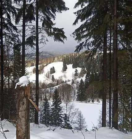 Im Alten Kino Apartamento