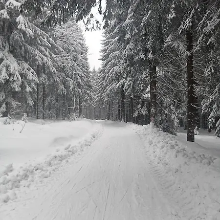 Im Alten Kino Fehrenbach