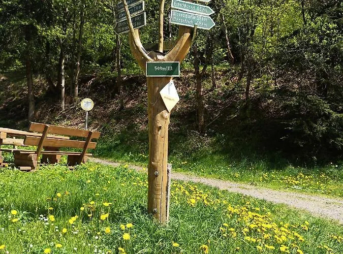 Im Alten Kino Fehrenbach