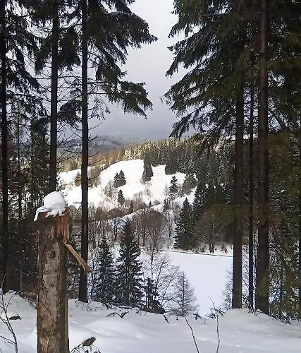 Im Alten Kino Appartement