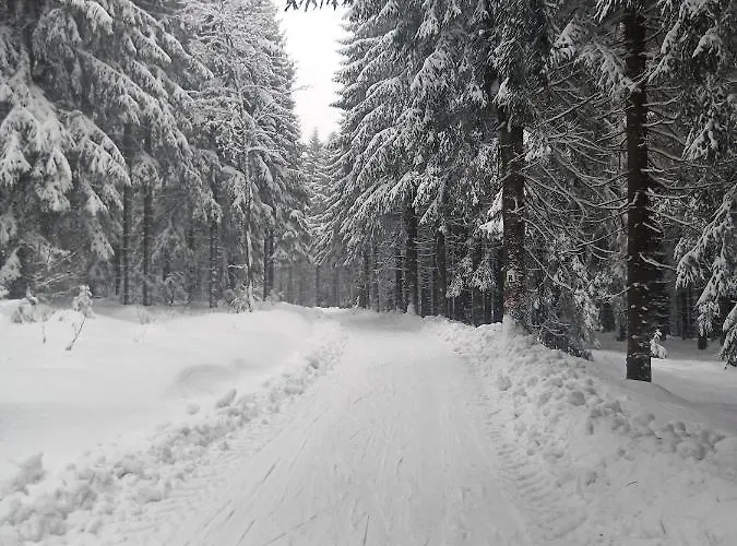 Im Alten Kino Fehrenbach