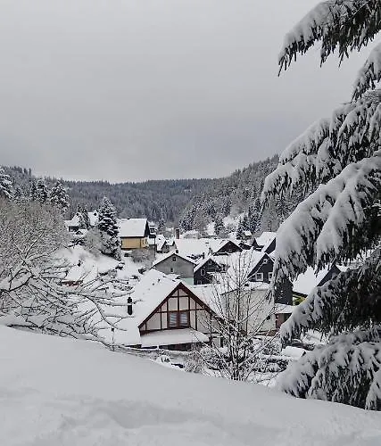 Appartement Im Alten Kino Fehrenbach